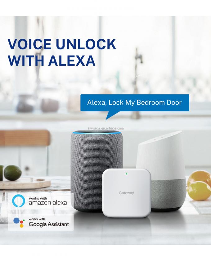 फिंगरप्रिंट और कीपैड के साथ Tuya WiFi BLE स्मार्ट डोर लॉक 4