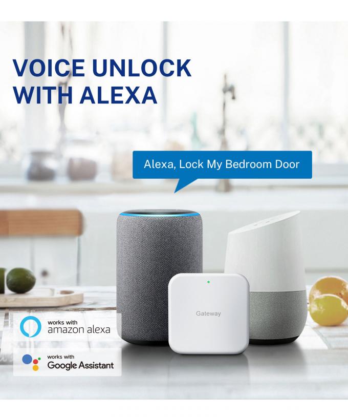 लिलीवाइज नई डिजाइन पूर्ण स्वचालित ताला डिजिटल इलेक्ट्रॉनिक फिंगरप्रिंट ताला Tuya APP TTlock स्मार्ट दरवाजा ताला 24