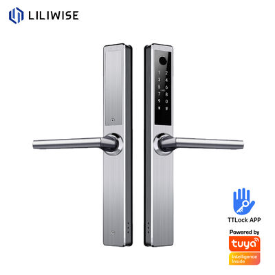 लिलीवाइज स्टेनलेस स्टील वाटरप्रूफ स्मार्ट लॉक आउटडोर Tuya Ttlock Wifi Keyless Smart Door Lock With Api