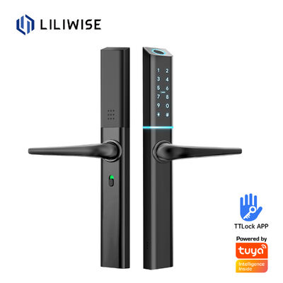 LILIWISE उच्च गुणवत्ता निर्माता स्मार्ट लॉक 2025 Tuya Wifi BLE वाटरप्रूफ TTLOCK स्लिम स्मार्ट डोर लॉक