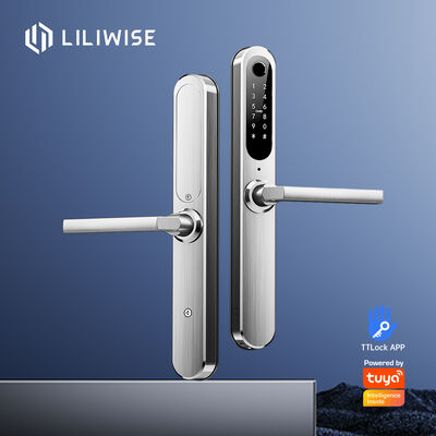 लिलीवाइज कस्टम सुरक्षा इलेक्ट्रॉनिक वाटरप्रूफ Ip66 डिजिटल Ttlock Tuya वाईफाई फिंगरप्रिंट स्लाइडिंग स्लिम स्मार्ट डोर लॉक
